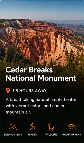 cedar